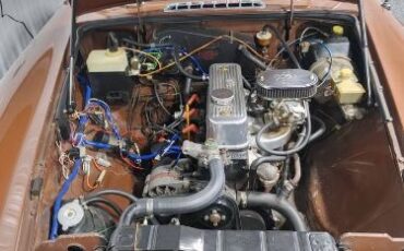 Mg-B-1979-Brown-4