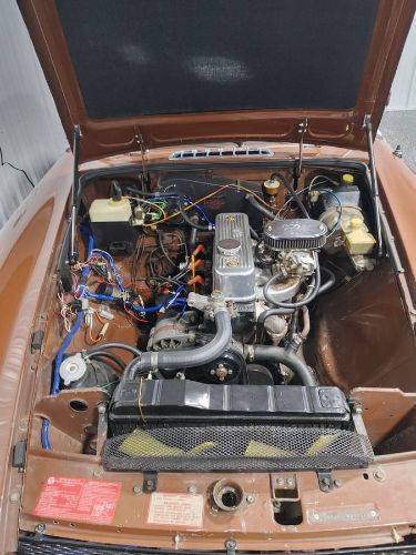 Mg-B-1979-Brown-4