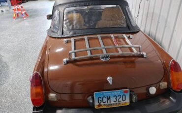 Mg-B-1979-Brown-6