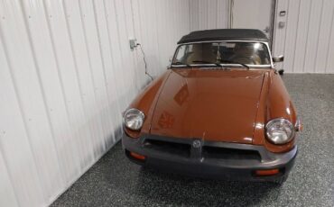 Mg-B-1979-Brown-8