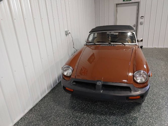 Mg-B-1979-Brown-8