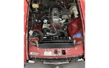 Mg-B-1979-Burgundy-Black-19