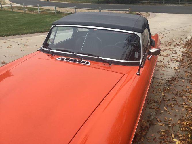 Mg-B-1979-Orange-4