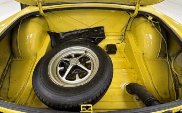 Mg-B-1979-Snapdragon-Yellow-Black-12