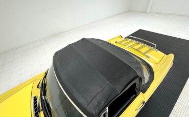 Mg-B-1979-Snapdragon-Yellow-Black-14