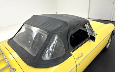 Mg-B-1979-Snapdragon-Yellow-Black-15