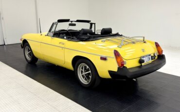Mg-B-1979-Snapdragon-Yellow-Black-16