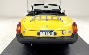 Mg-B-1979-Snapdragon-Yellow-Black-17