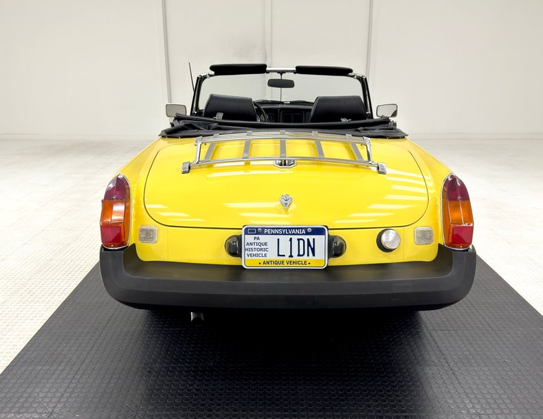 Mg-B-1979-Snapdragon-Yellow-Black-17