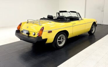 Mg-B-1979-Snapdragon-Yellow-Black-18