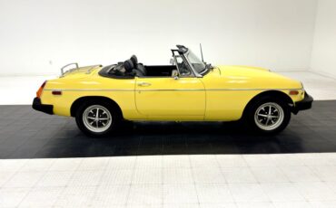 Mg-B-1979-Snapdragon-Yellow-Black-19