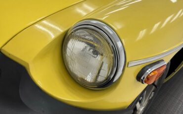 Mg-B-1979-Snapdragon-Yellow-Black-20
