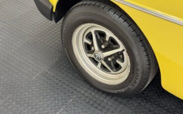 Mg-B-1979-Snapdragon-Yellow-Black-21