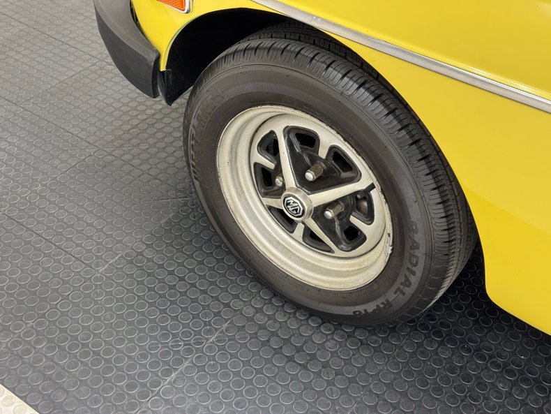 Mg-B-1979-Snapdragon-Yellow-Black-21