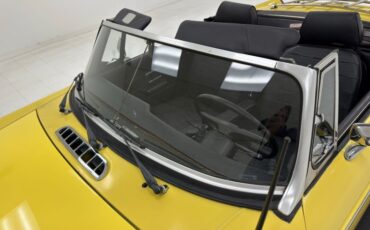 Mg-B-1979-Snapdragon-Yellow-Black-22