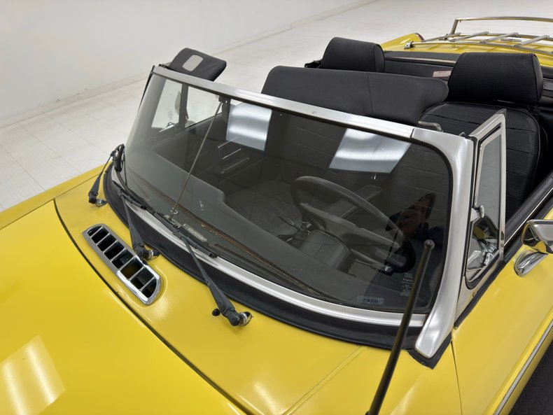 Mg-B-1979-Snapdragon-Yellow-Black-22