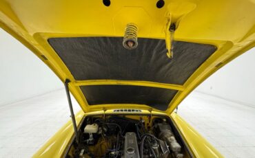 Mg-B-1979-Snapdragon-Yellow-Black-24
