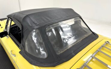 Mg-B-1979-Snapdragon-Yellow-Black-28