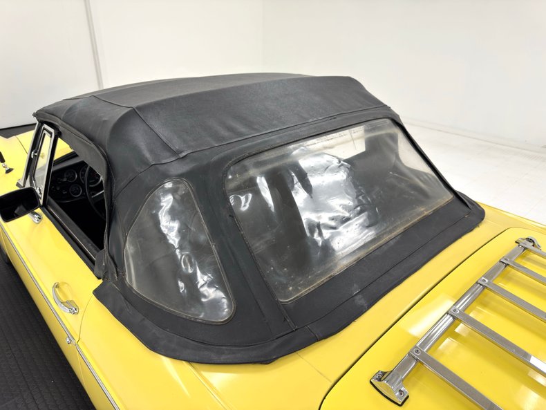Mg-B-1979-Snapdragon-Yellow-Black-28