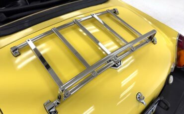 Mg-B-1979-Snapdragon-Yellow-Black-29