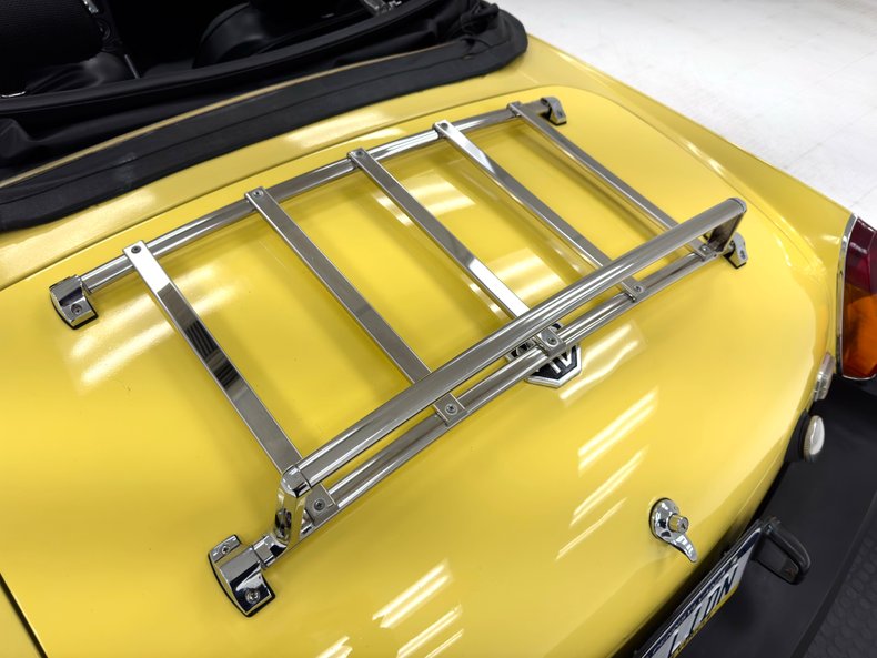 Mg-B-1979-Snapdragon-Yellow-Black-29