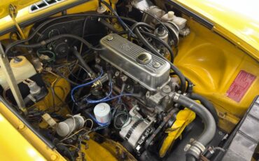 Mg-B-1979-Snapdragon-Yellow-Black-30