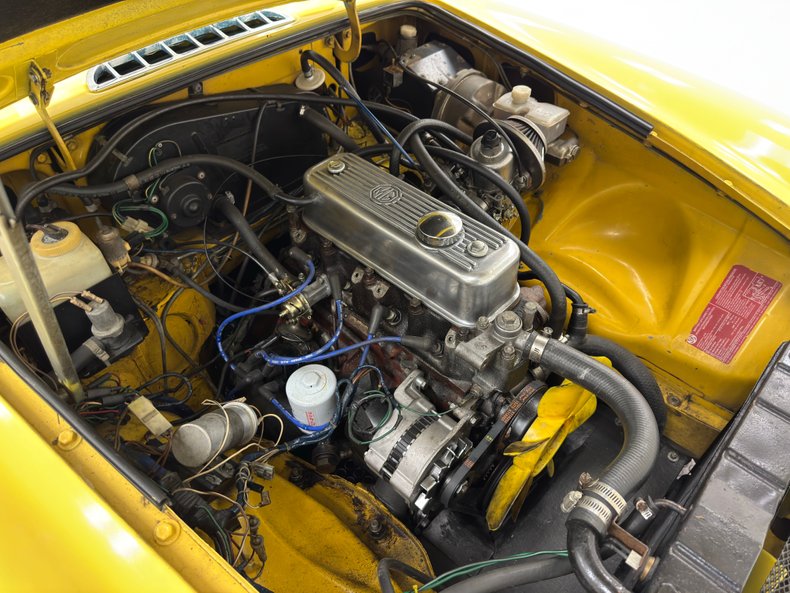 Mg-B-1979-Snapdragon-Yellow-Black-30