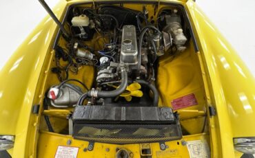 Mg-B-1979-Snapdragon-Yellow-Black-31