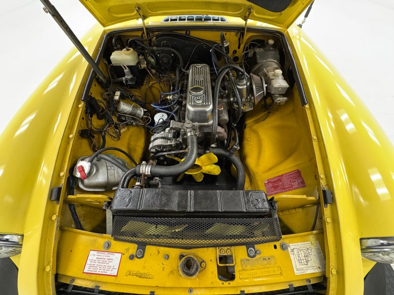 Mg-B-1979-Snapdragon-Yellow-Black-31