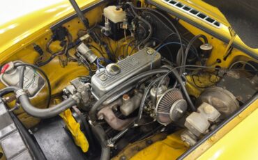 Mg-B-1979-Snapdragon-Yellow-Black-32