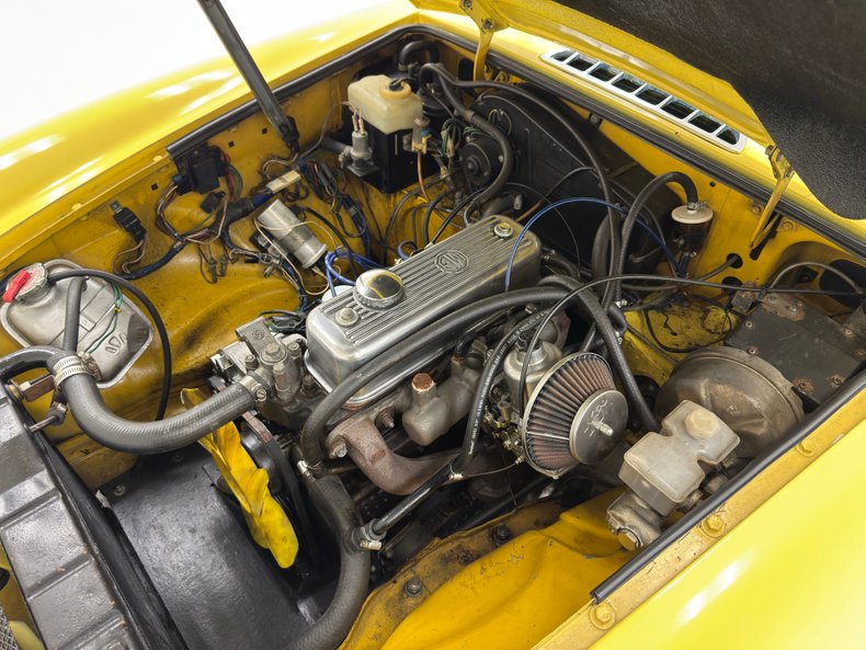 Mg-B-1979-Snapdragon-Yellow-Black-32