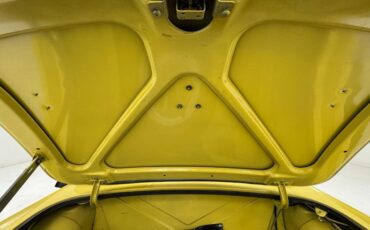 Mg-B-1979-Snapdragon-Yellow-Black-33
