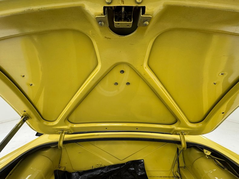 Mg-B-1979-Snapdragon-Yellow-Black-33