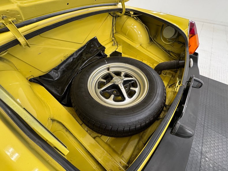 Mg-B-1979-Snapdragon-Yellow-Black-34