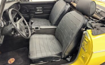Mg-B-1979-Snapdragon-Yellow-Black-37
