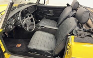Mg-B-1979-Snapdragon-Yellow-Black-38