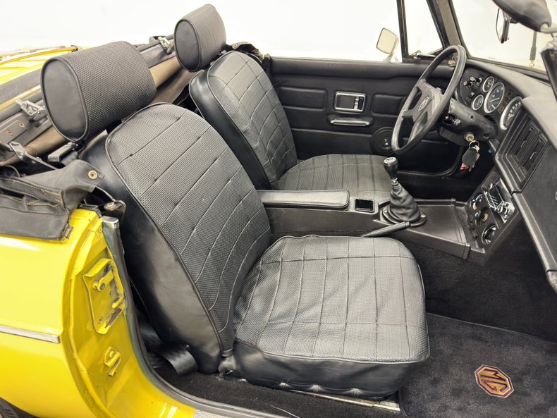 Mg-B-1979-Snapdragon-Yellow-Black-39