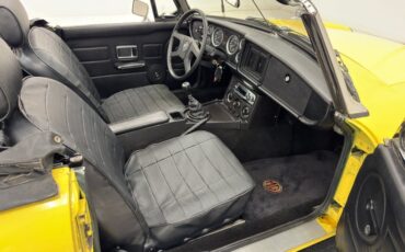 Mg-B-1979-Snapdragon-Yellow-Black-40