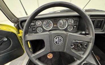 Mg-B-1979-Snapdragon-Yellow-Black-41