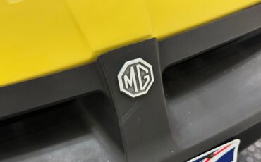 Mg-B-1979-Snapdragon-Yellow-Black-5