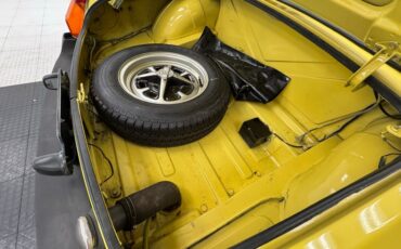 Mg-B-1979-Snapdragon-Yellow-Black-7