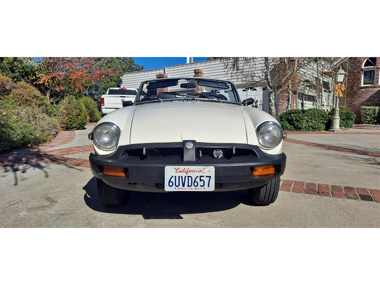 Mg-B-1979-White-Black-1