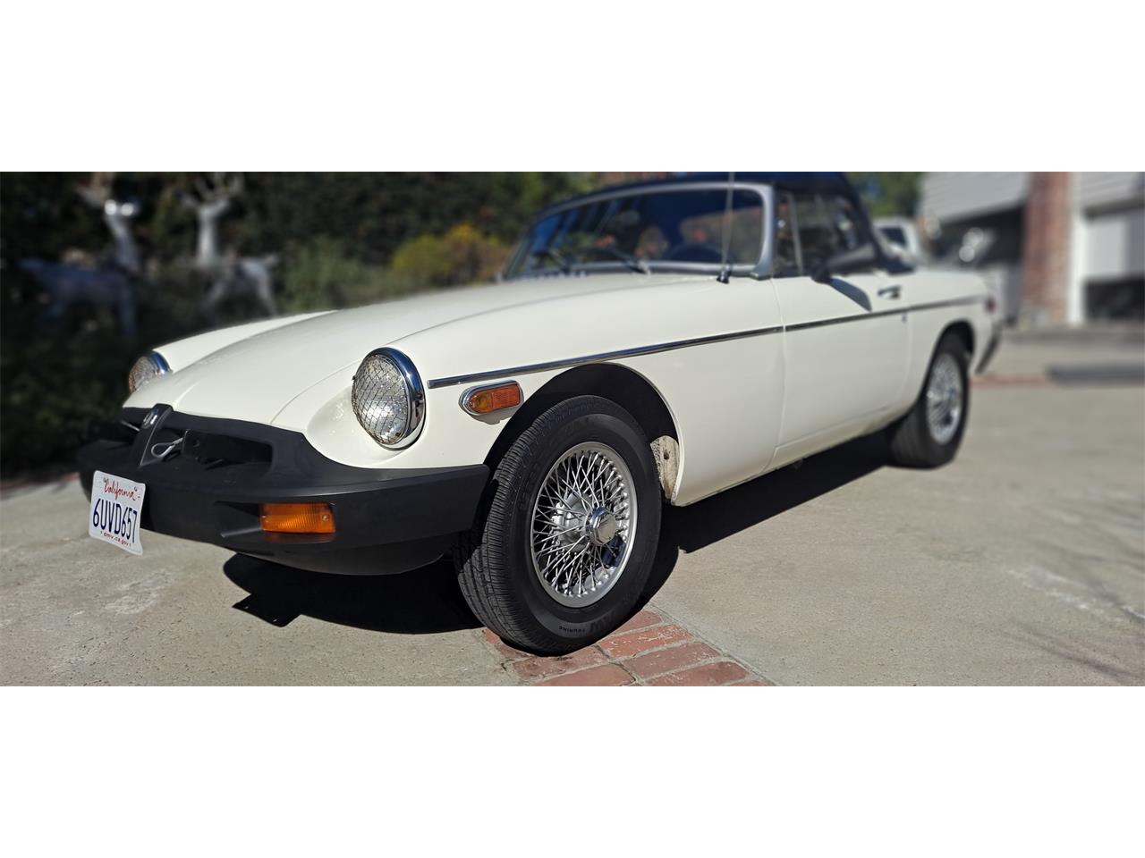 Mg-B-1979-White-Black-19