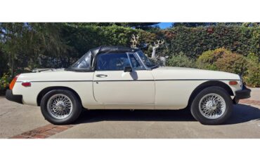 Mg-B-1979-White-Black-21