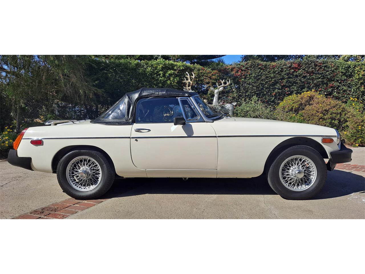 Mg-B-1979-White-Black-21