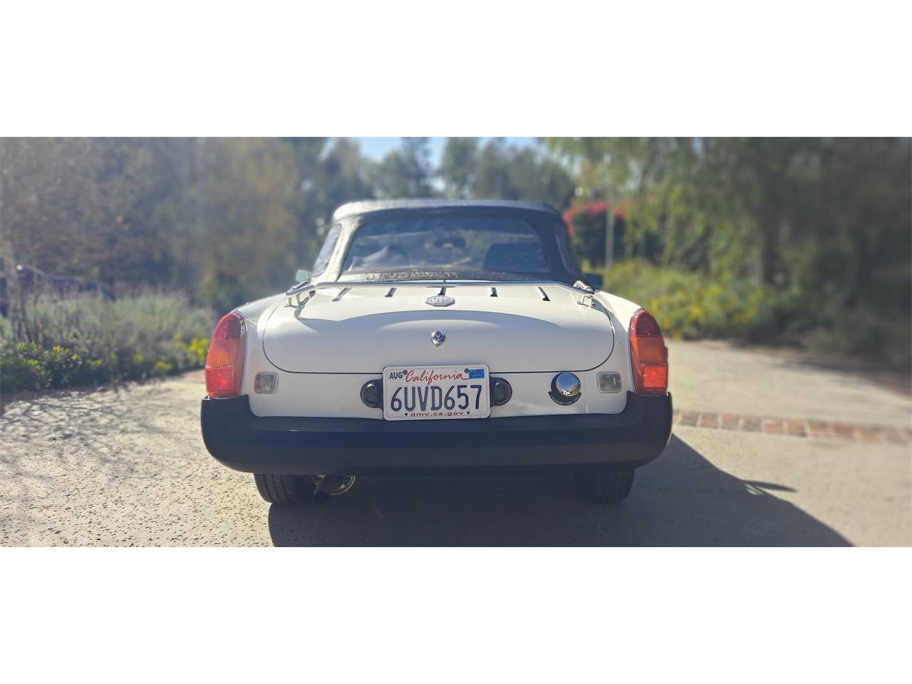 Mg-B-1979-White-Black-22
