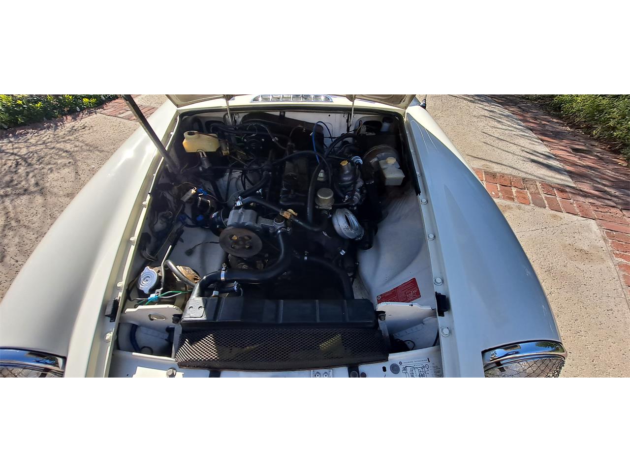 Mg-B-1979-White-Black-25