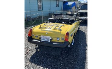 Mg-B-1979-Yellow-Black-10