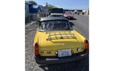 Mg-B-1979-Yellow-Black-11