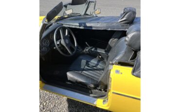 Mg-B-1979-Yellow-Black-13
